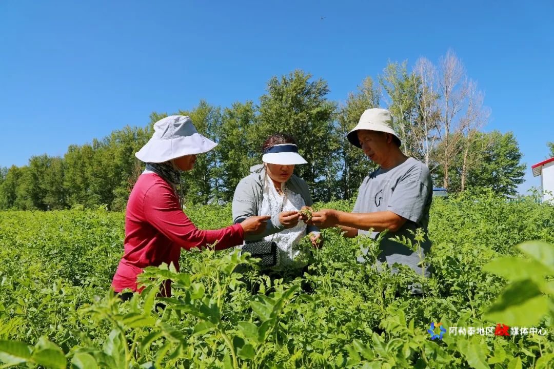 mmexport1745229033300