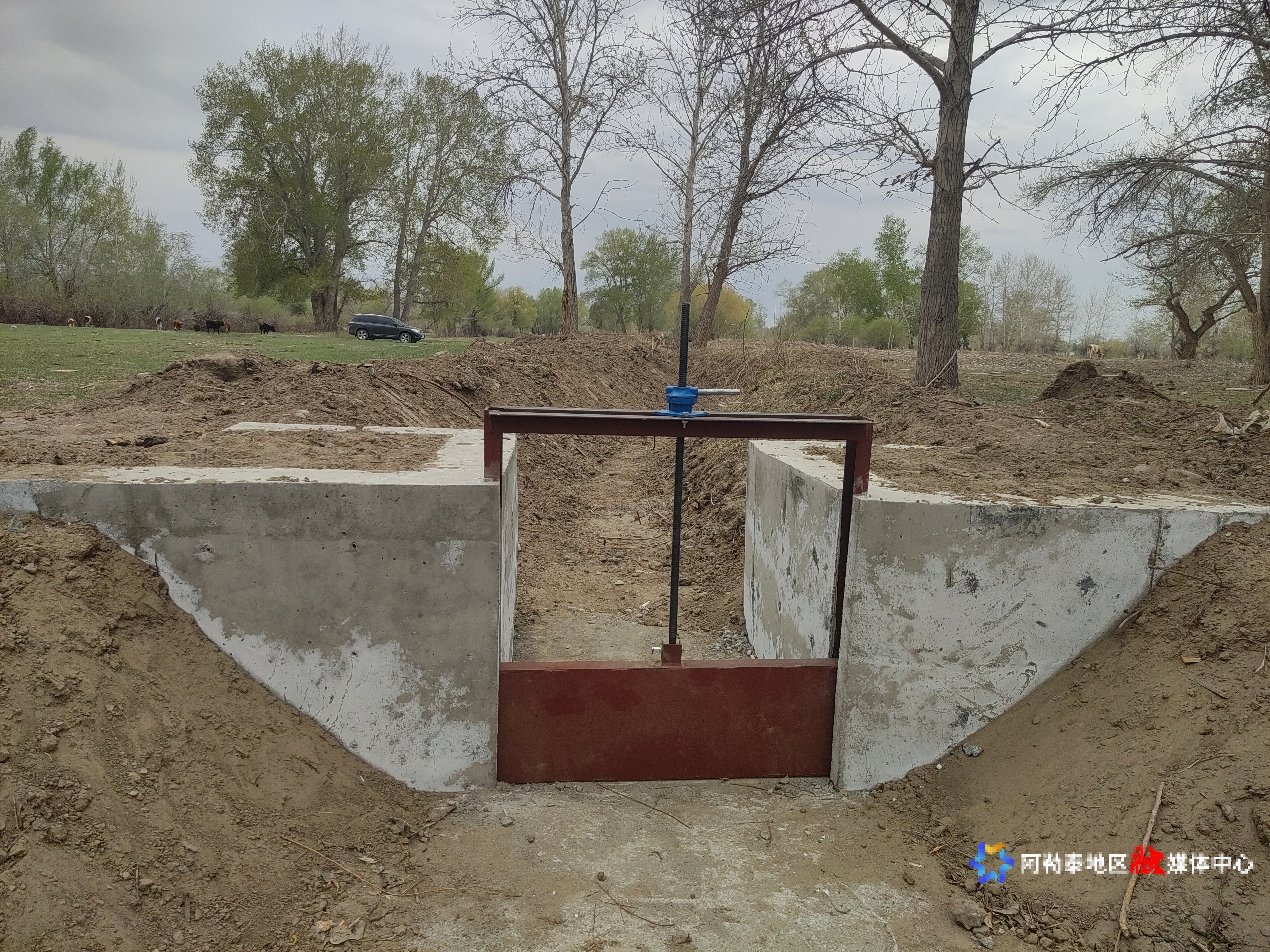 mmexport1746014079662