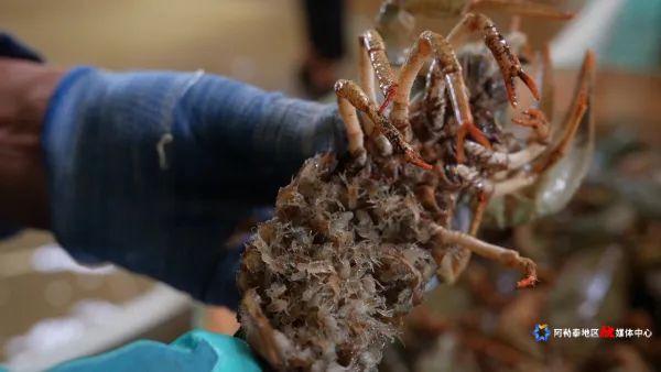 mmexport1750776377910